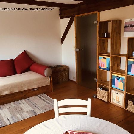 Ferienwohnung Kastanienblick Oder Parkblick, Oder Unser Radlerzimmer! Ziethen  Esterno foto