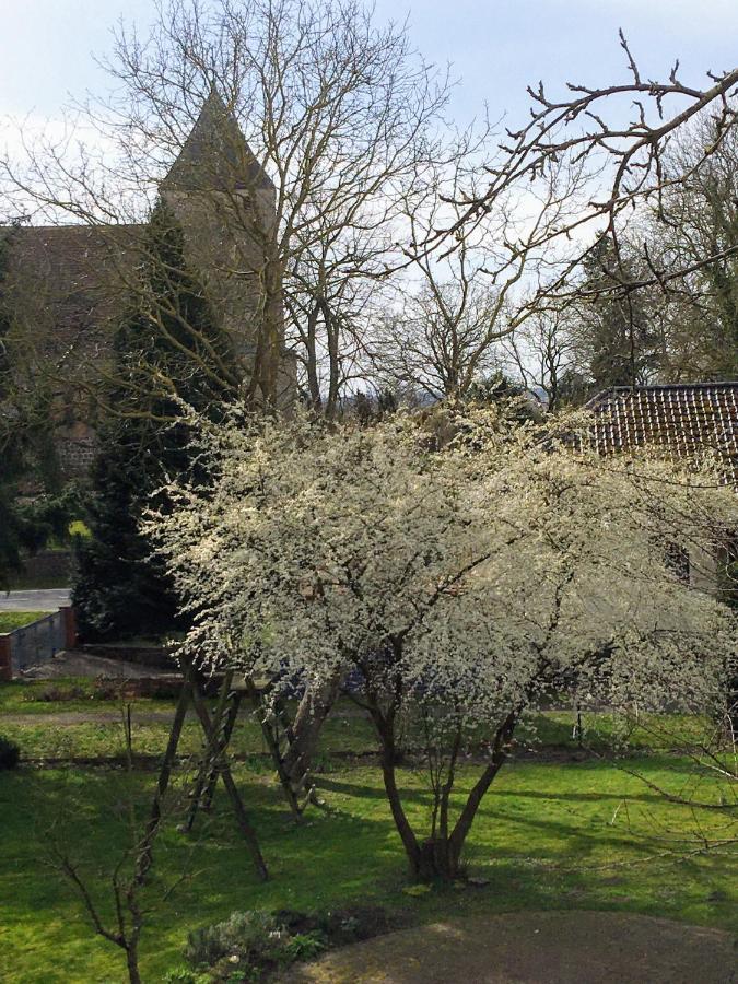 Ferienwohnung Kastanienblick Oder Parkblick, Oder Unser Radlerzimmer! Ziethen  Esterno foto