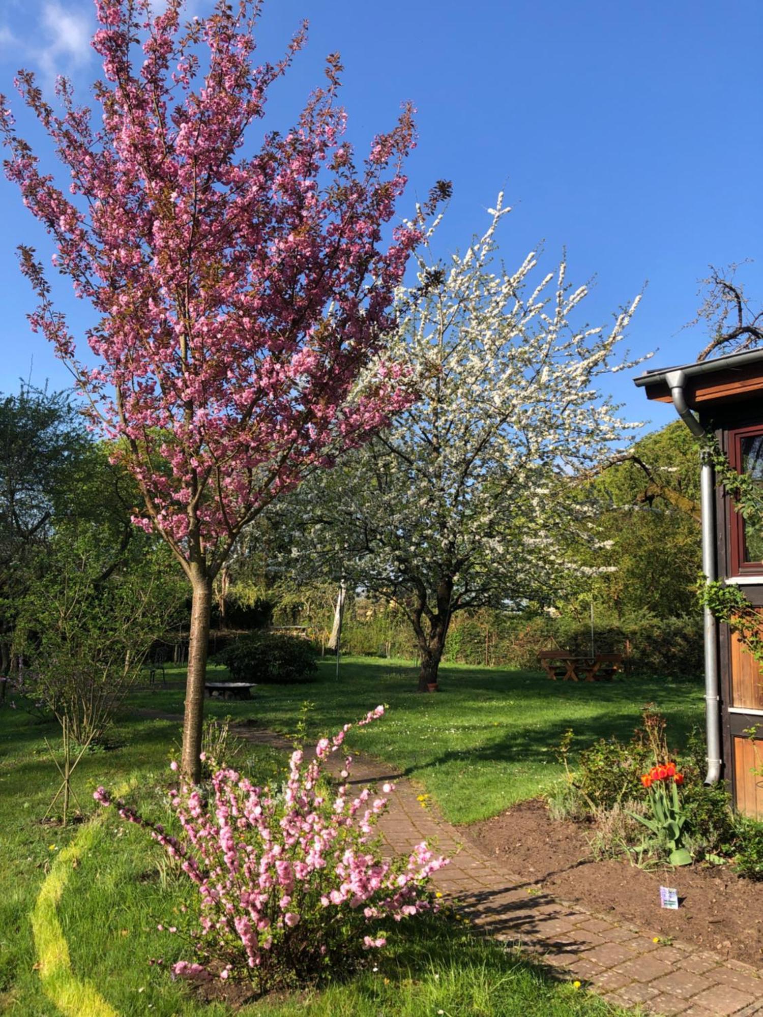 Ferienwohnung Kastanienblick Oder Parkblick, Oder Unser Radlerzimmer! Ziethen  Esterno foto
